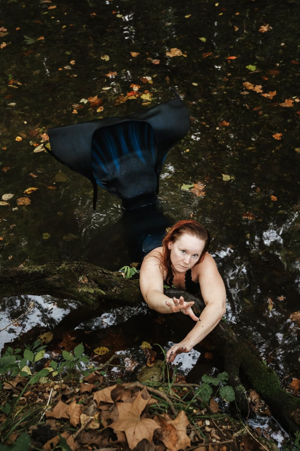 Mermaid performer with a dark blue tail reaching forward from a leaf-covered woodland stream.