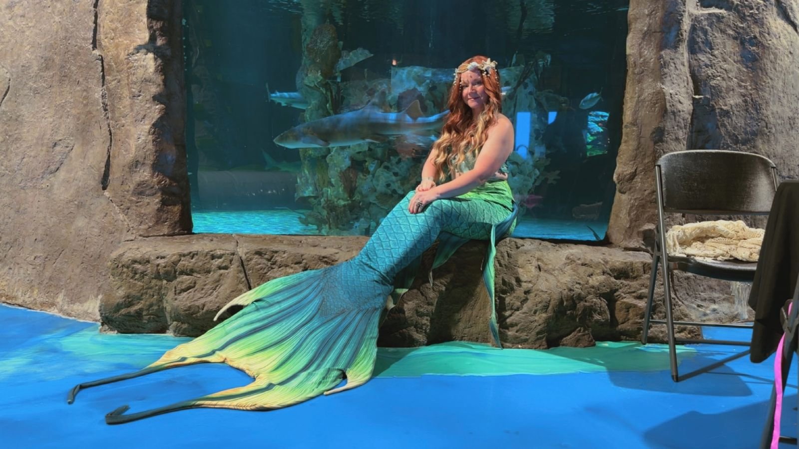 Mermaid performer with a turquoise tail seated before an aquarium window as a shark swims behind.